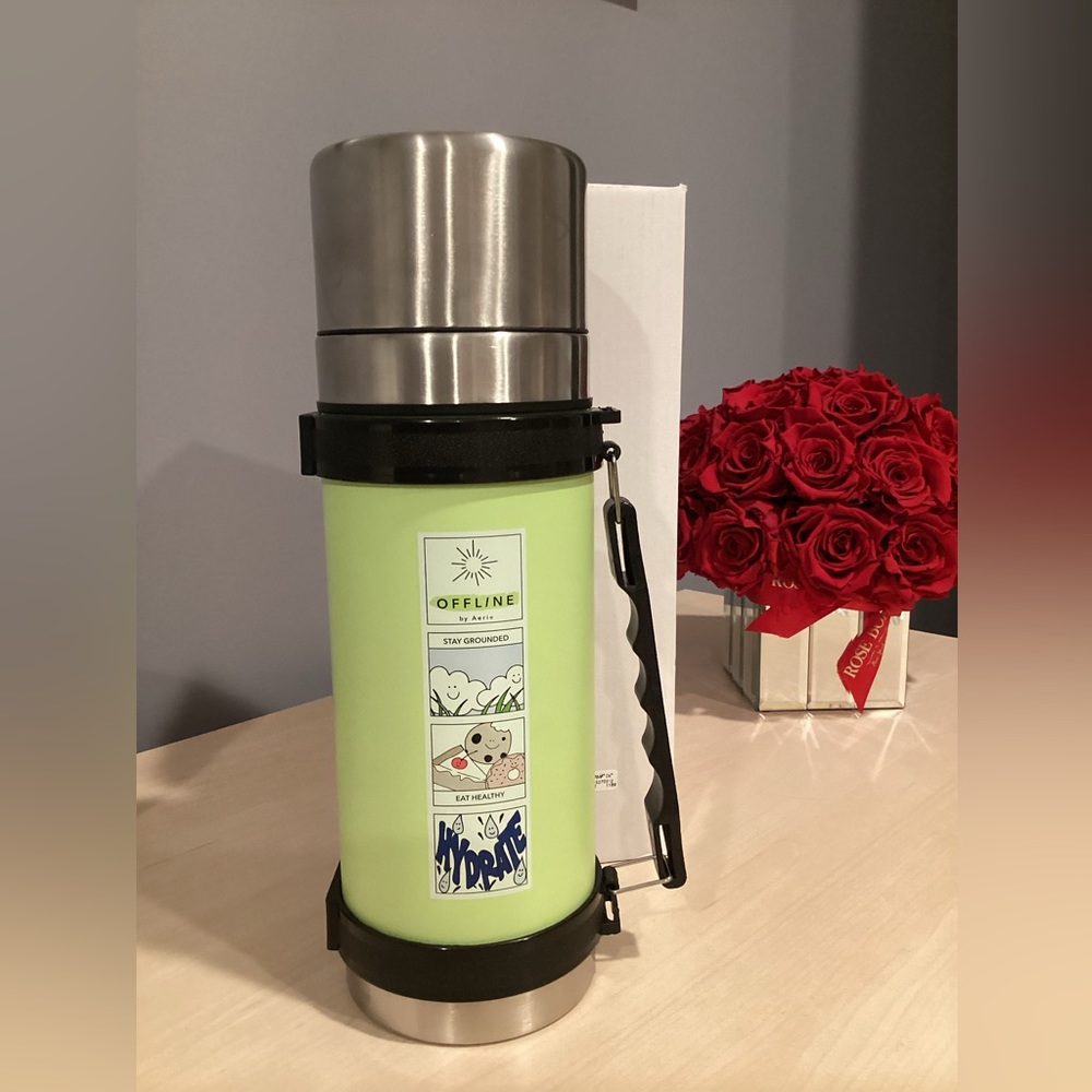 Offline by Aerie Stainless Still Thermos/Water Bottle